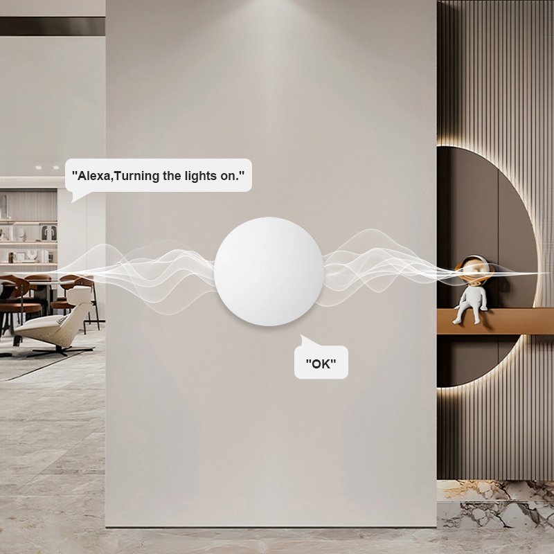 ZigBee Smart Wireless Button S - Zigbee Smart Button Scene Switch recensie en prijs