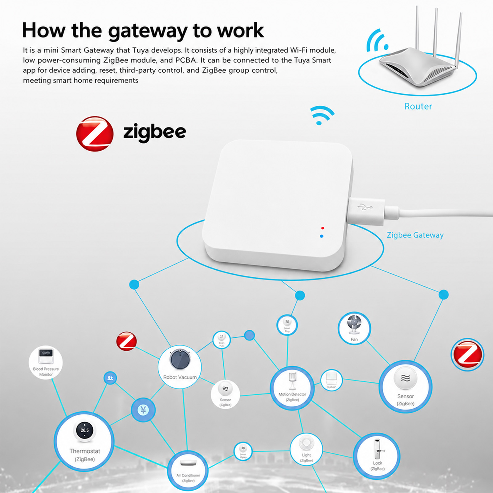Tuya Zigbee Gateway voor een s - Zigbee Gateway Hub Tuya recensie en prijs